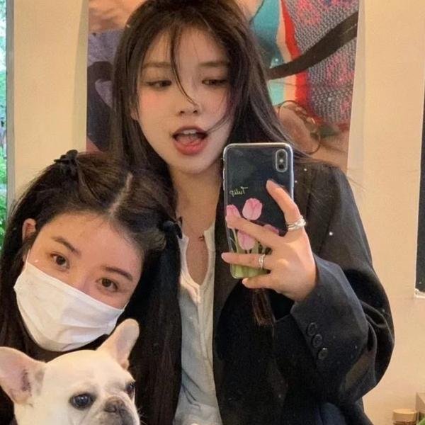 监狱犬计划